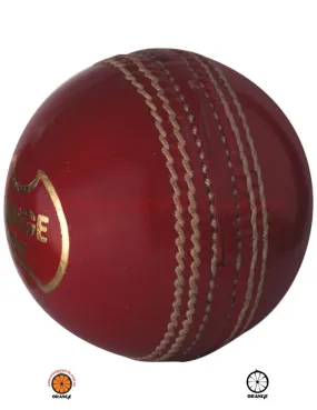 Cricket Fielding Training Ball